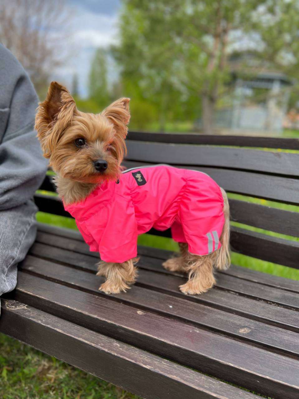 Дождевик для собаки Puffy Лайт розовый