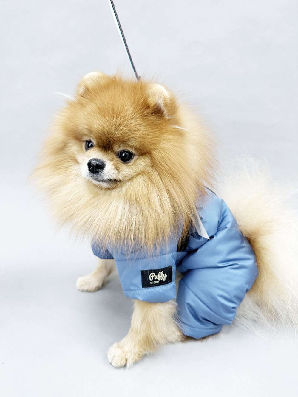 Комбинезон для собак со шлейкой Puffy Фикс акула