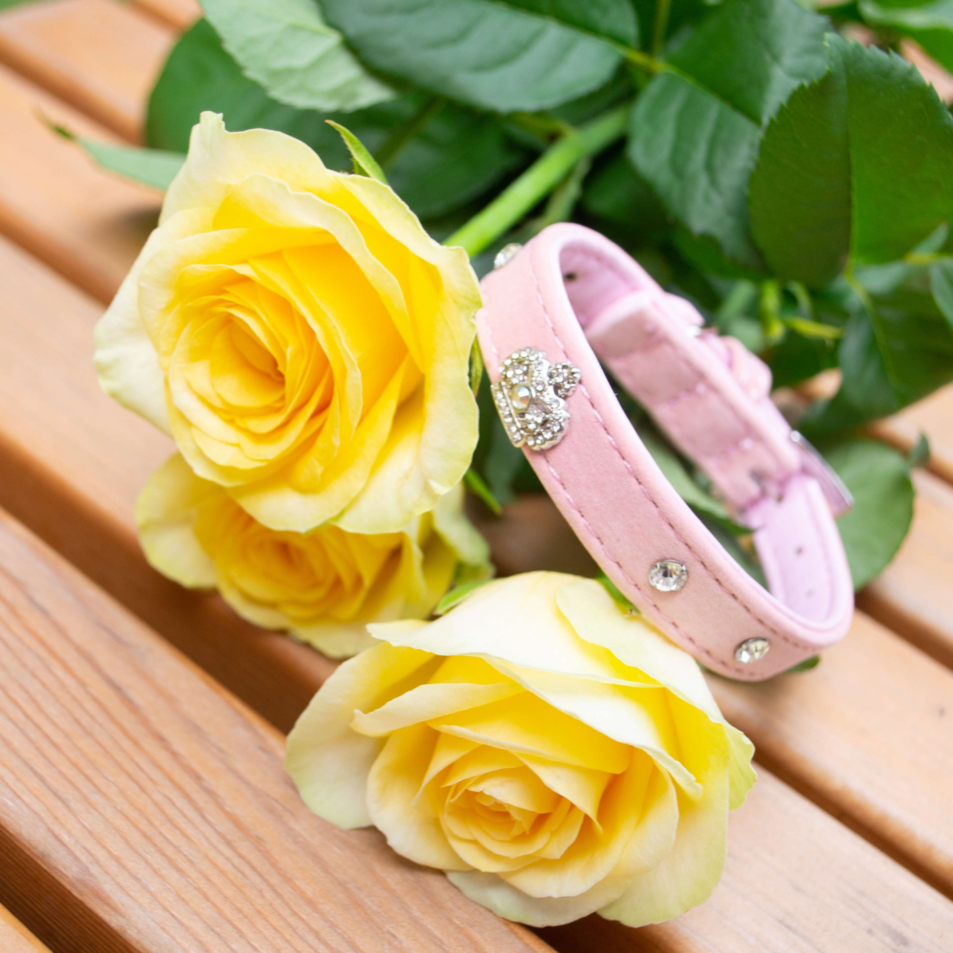 Ошейник для собак Pet Корона