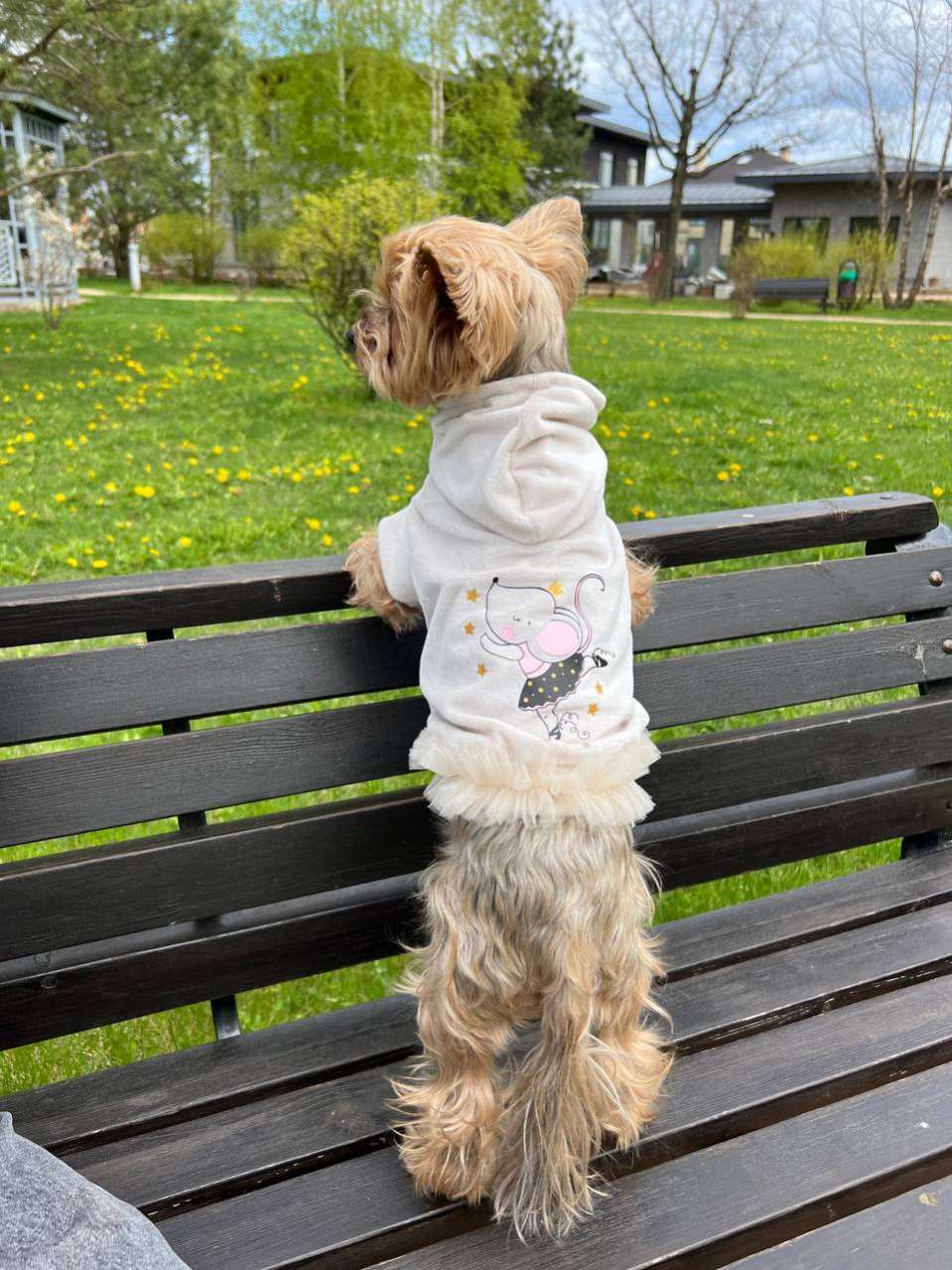 Толстовка для собаки велюровая Puffy Тутси