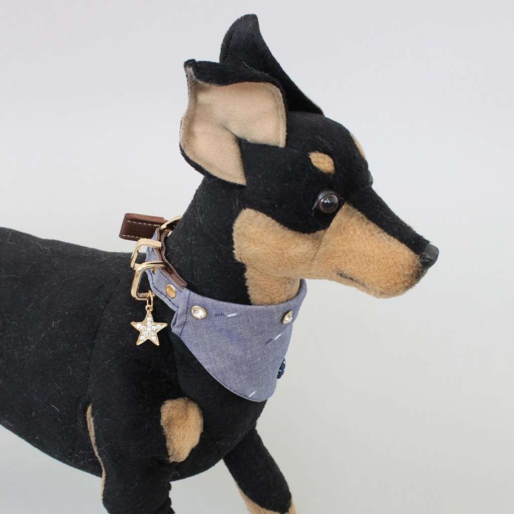 Ошейник для собак Pet Ковбой со стразами