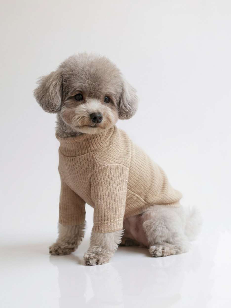 Свитшот для собак Puffy Лапша латте