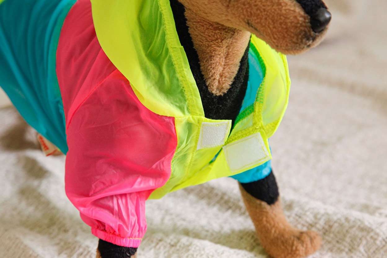 Ветровка для собак Pet Радуга