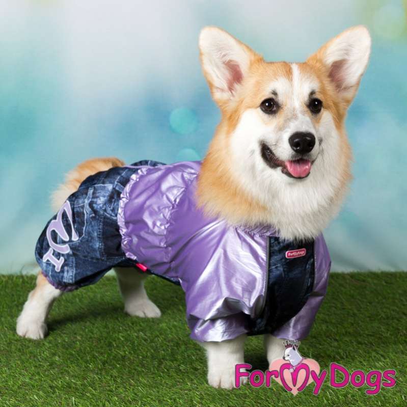 Дождевик для таксы и корги ForMyDogs Джинса
