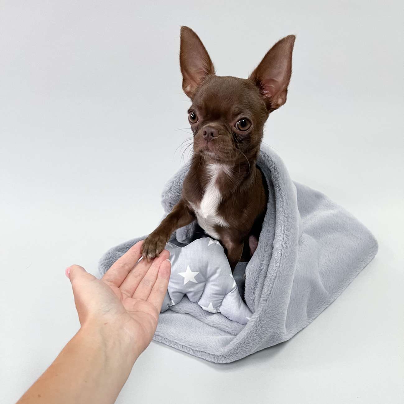 Плед для собаки Puffy Сумерки