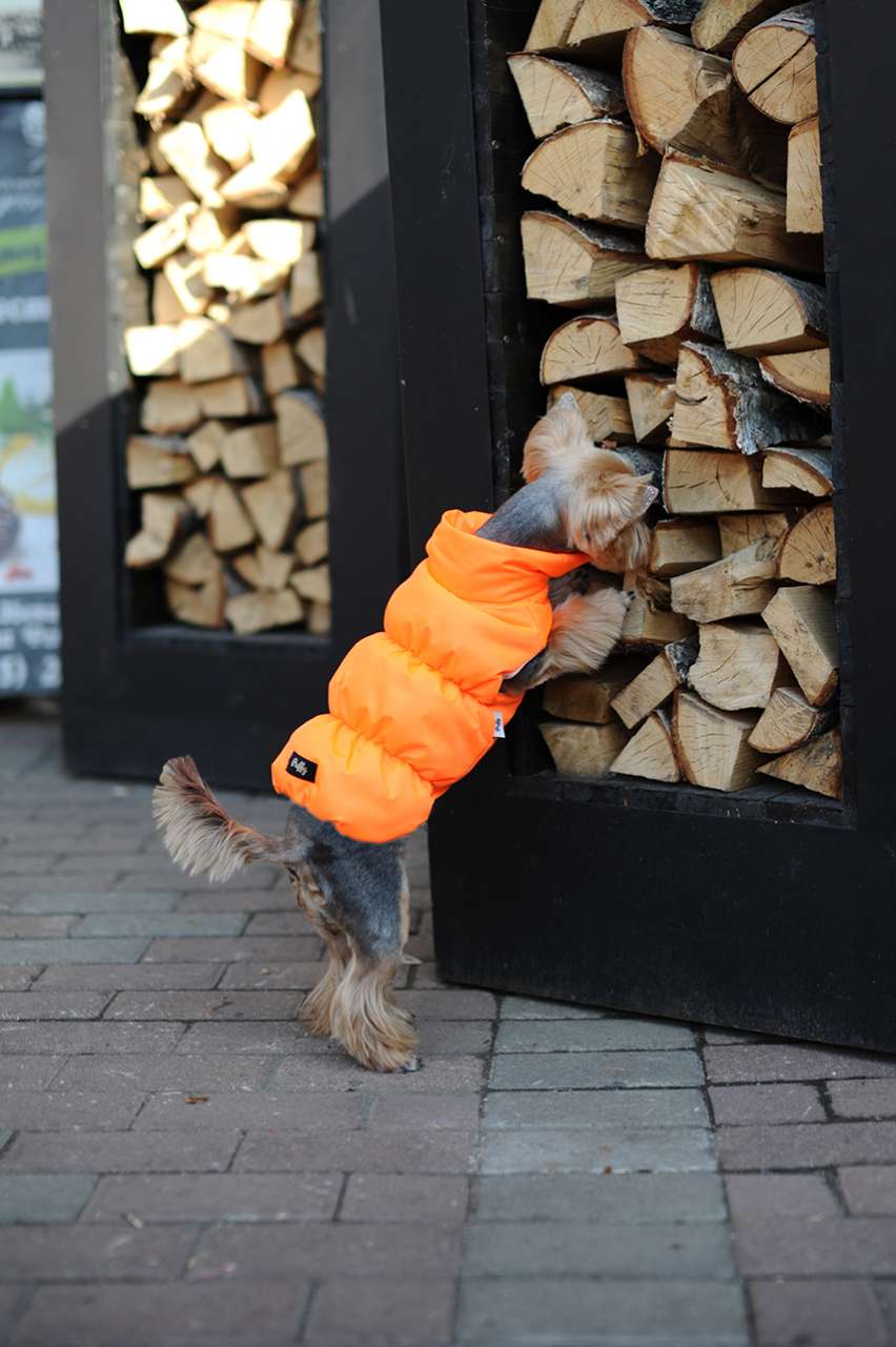 Жилетка для собаки Puffy Рич оранжевая