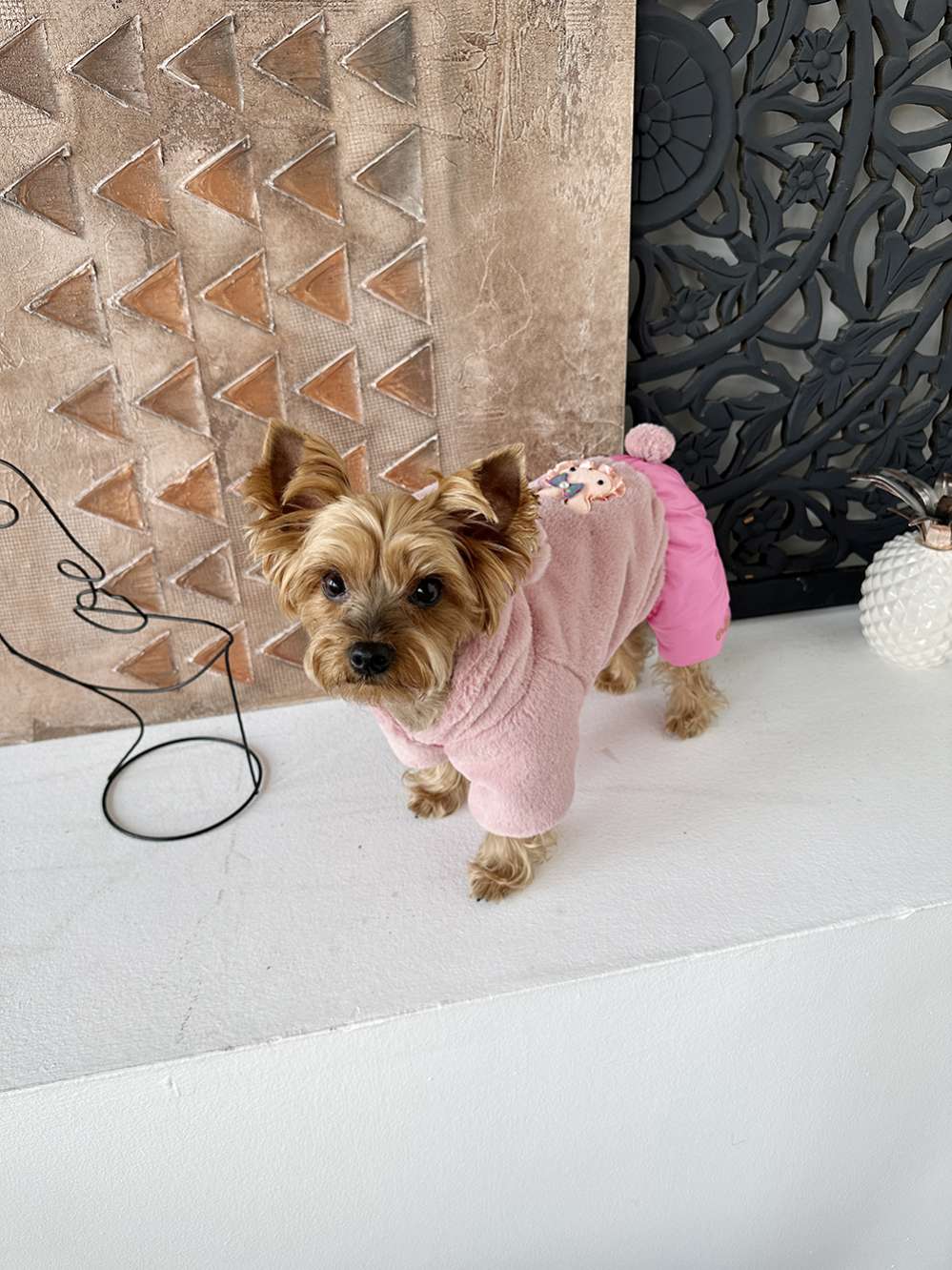 Шуба для собак Puffy Тедди