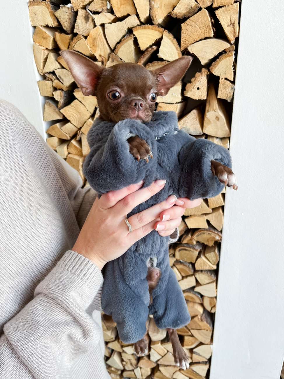 Шуба для собак для собак Puffy Морозка Маренго