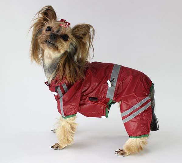Дождевик для собаки Pet Дайв