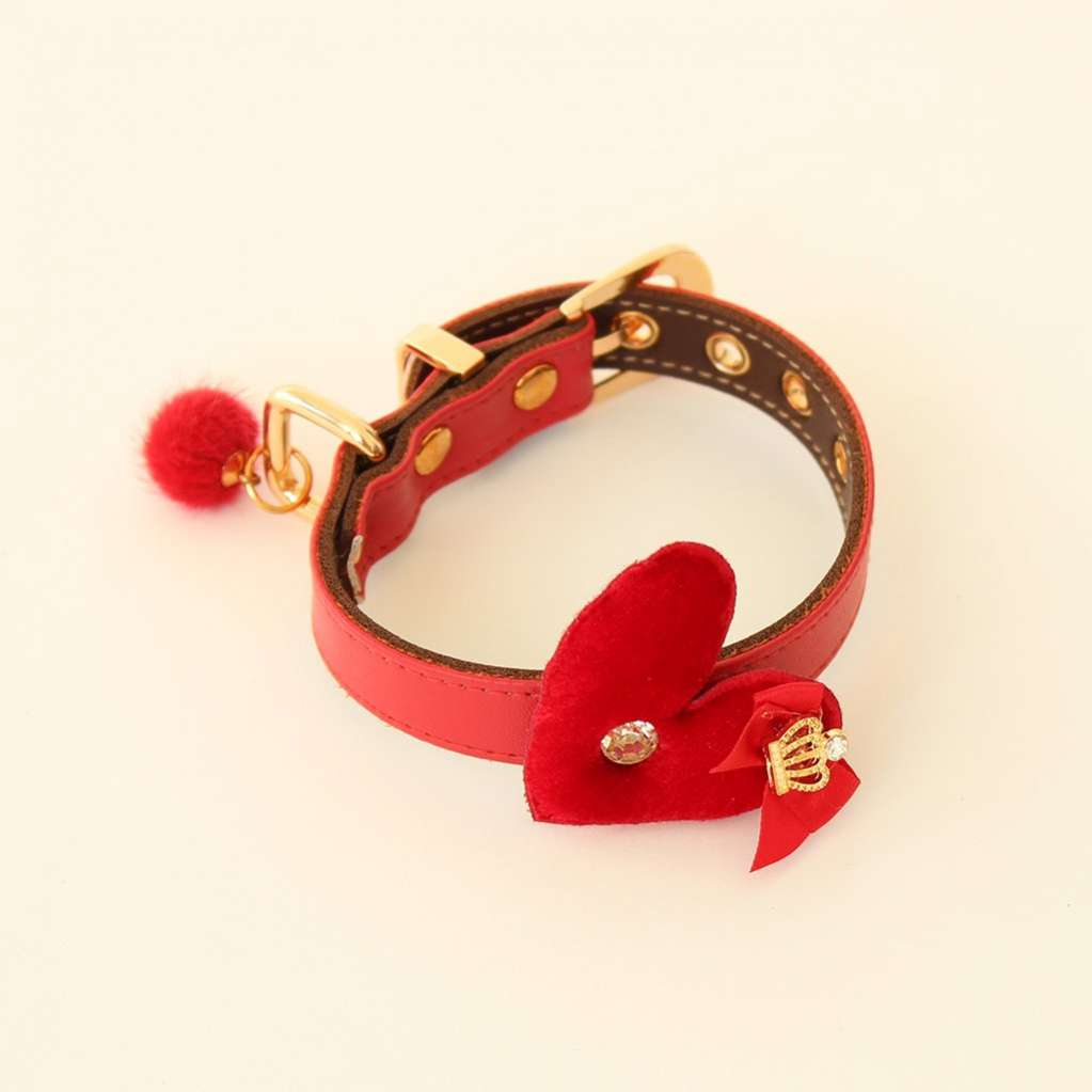 Ошейник и поводок для собаки Pet Love Is