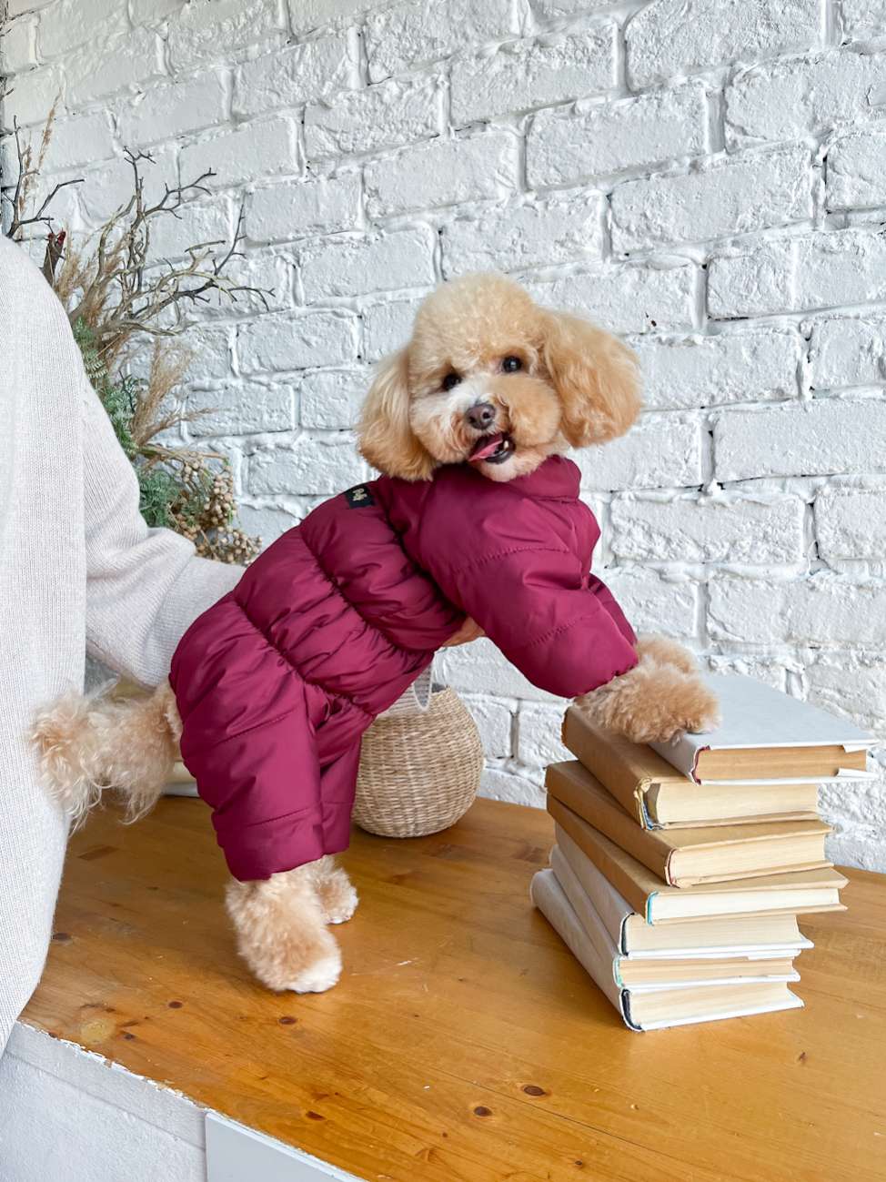 Зимний комбинезон для собак Puffy Норд Бордовый