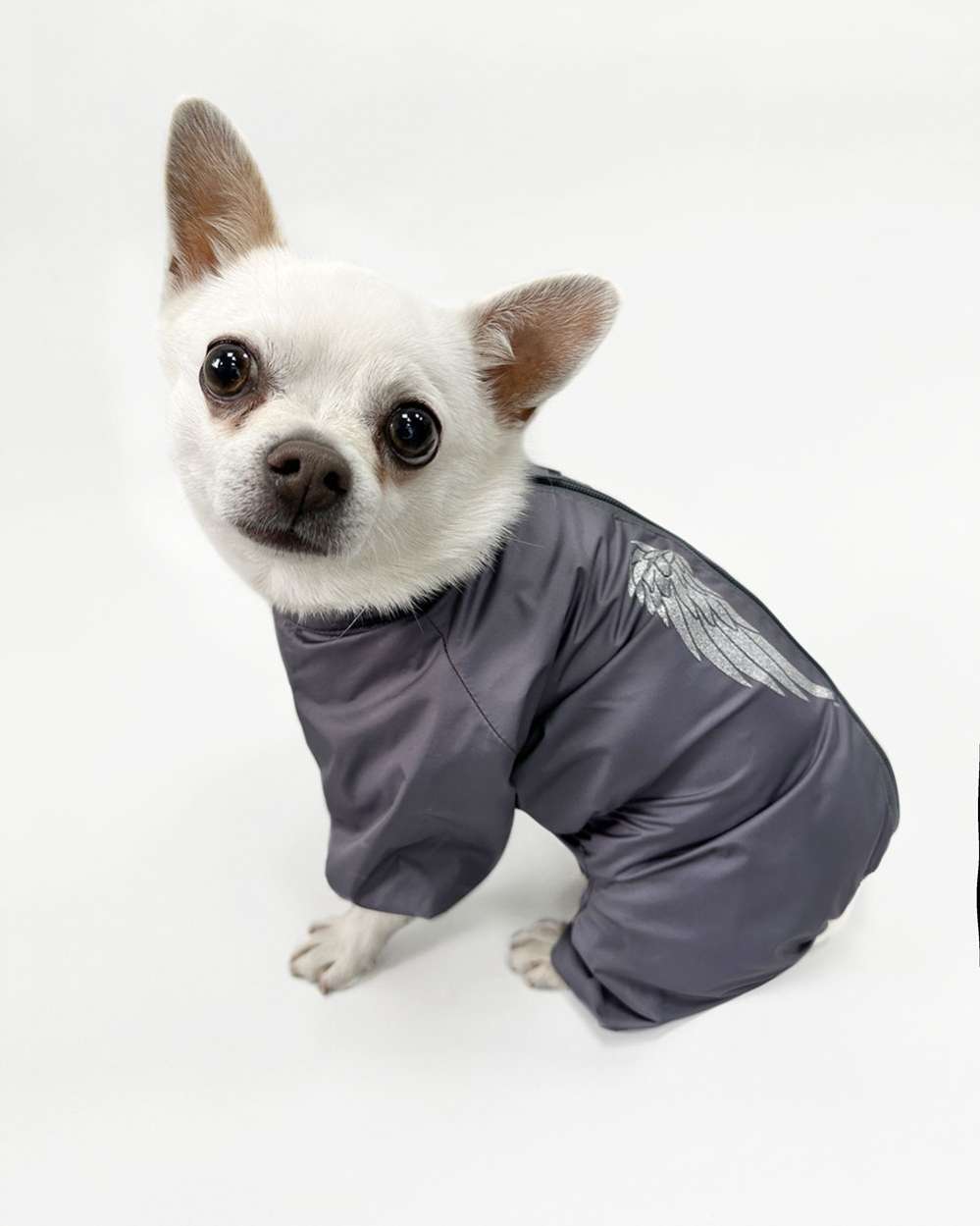 Дождевик для собаки Puffy Ангел маренго