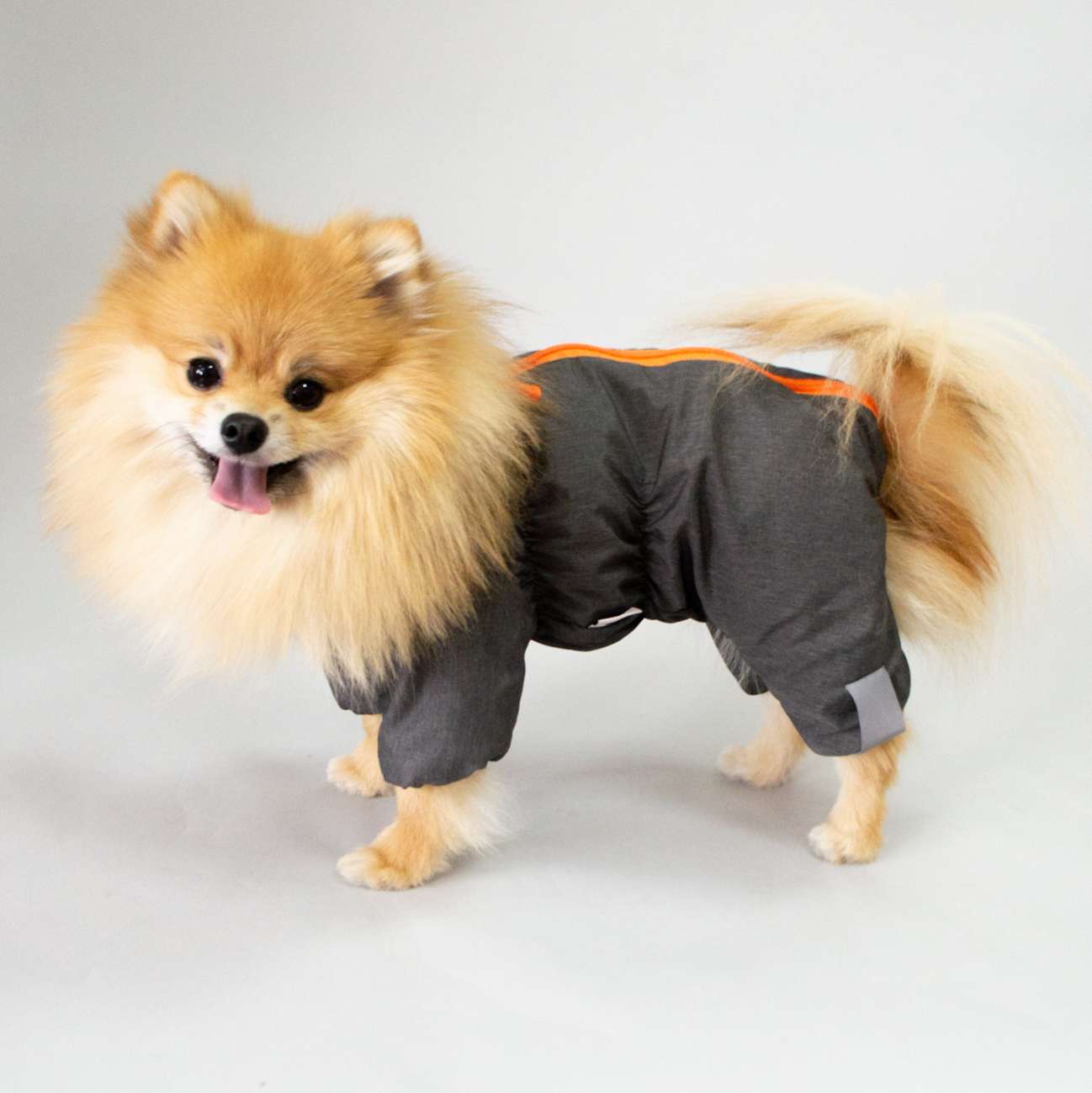 Дождевик для собаки утепленный Puffy Фит