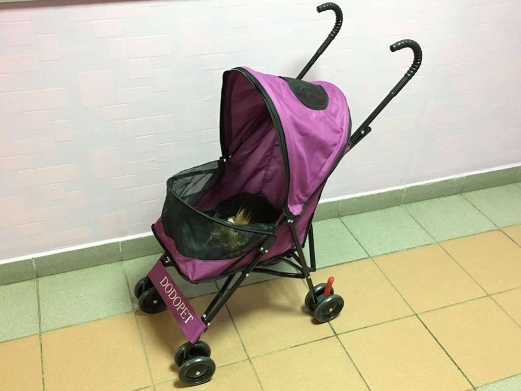 Коляска для собак Лада