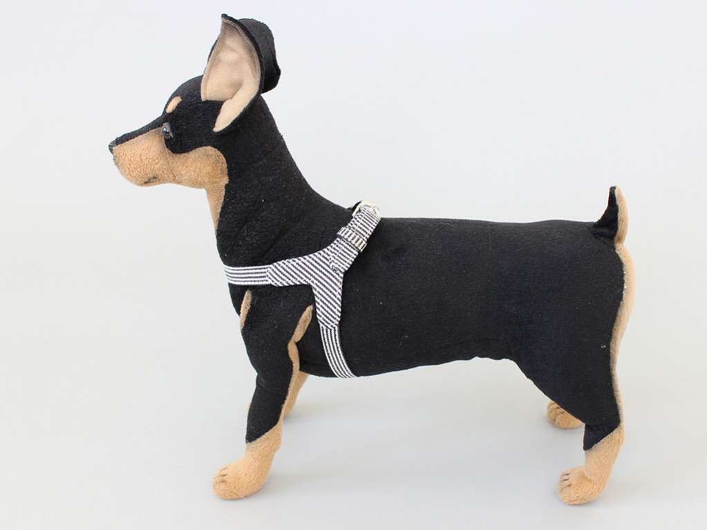 Шлейка для собак Pet Стрип