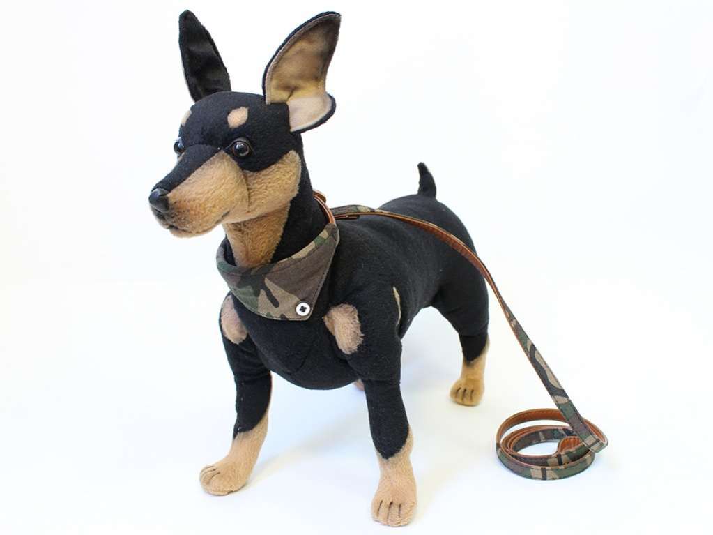 Ошейник и поводок для собаки Милитари