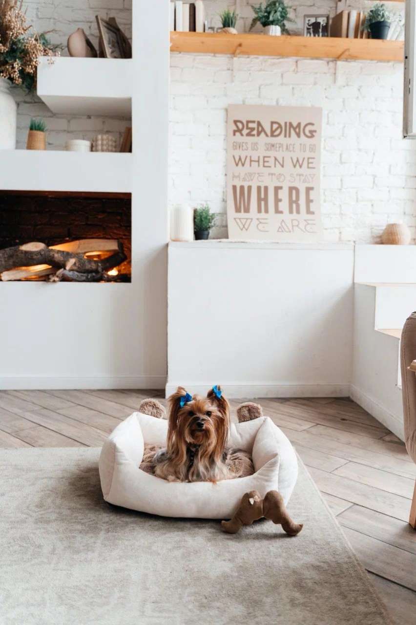 Диван для собаки Puffy Умка Молочный