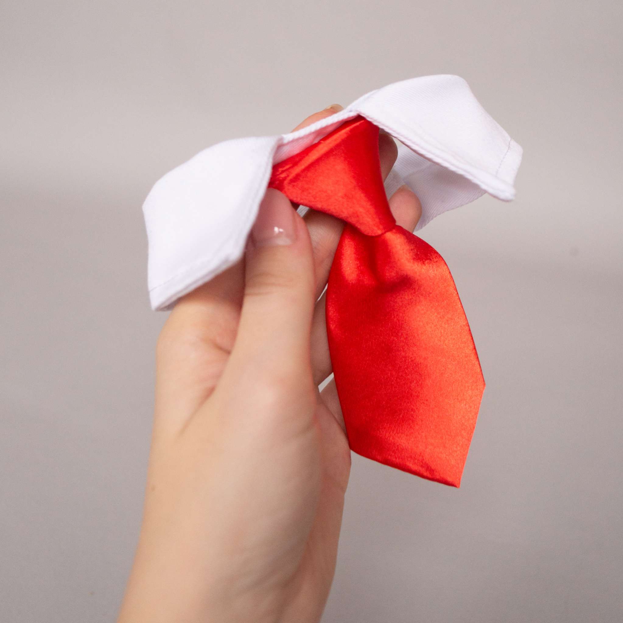 Галстук для собак Pet Boss