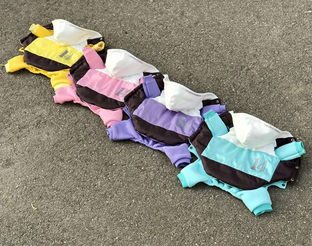 Комплект костюм и жилет для собаки Premium 15