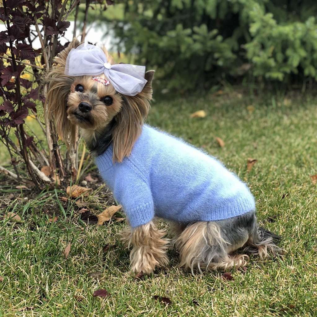 Вязаный свитер для собаки Puffy Пух норки 