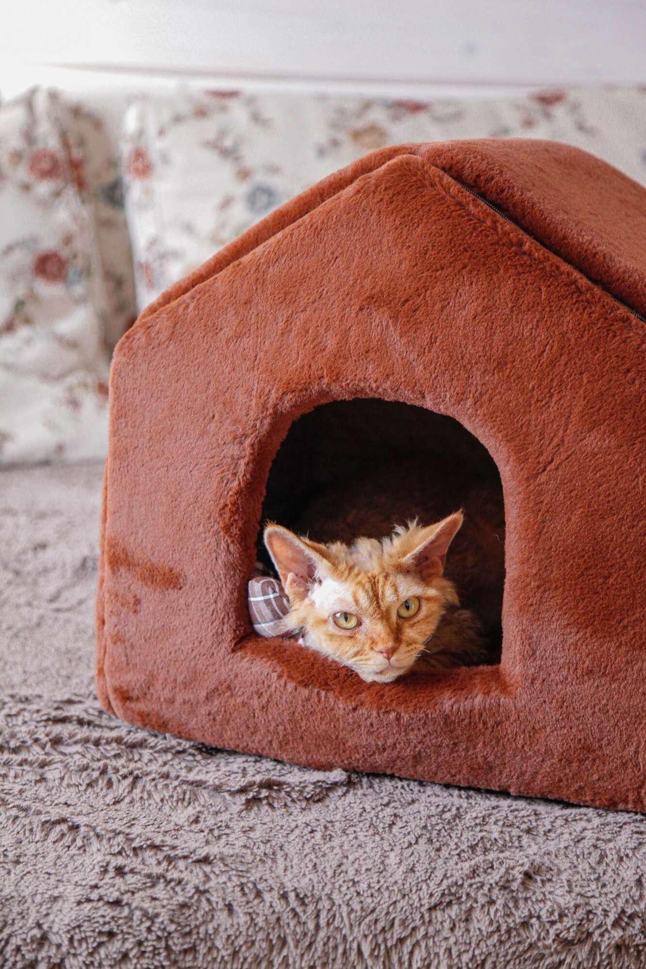 Домик для собаки Puffy Fancy Каштан