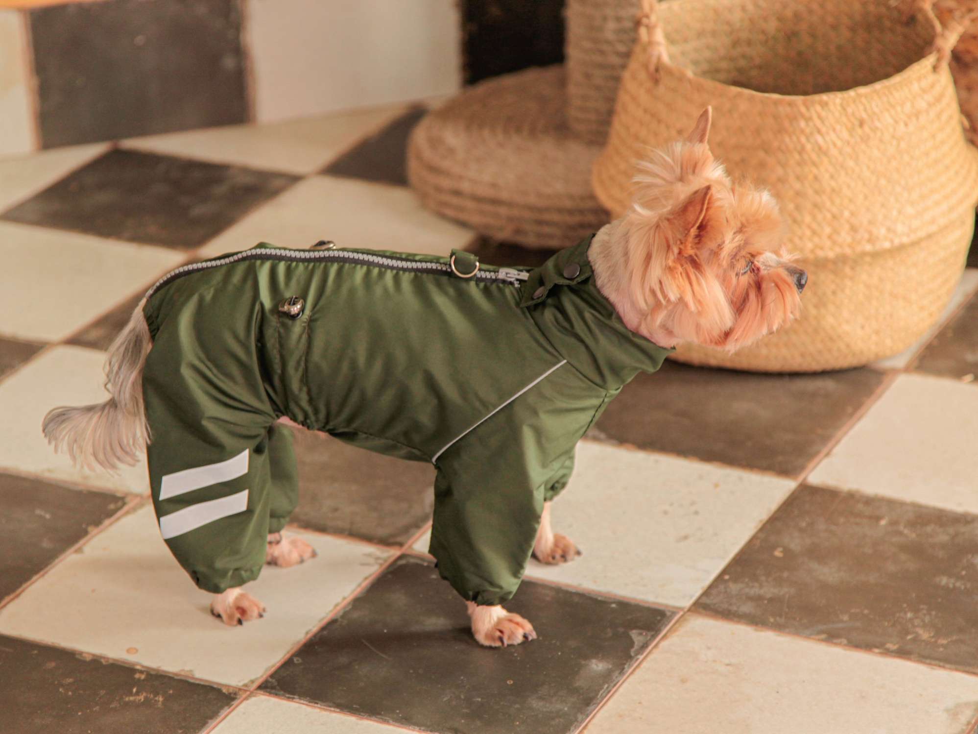 Дождевик для собаки Puffy Полоски