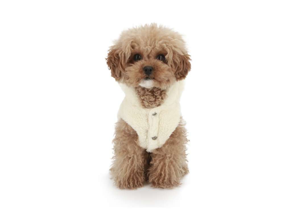 Жилет для собаки меховой PuppyAngel Монстрик