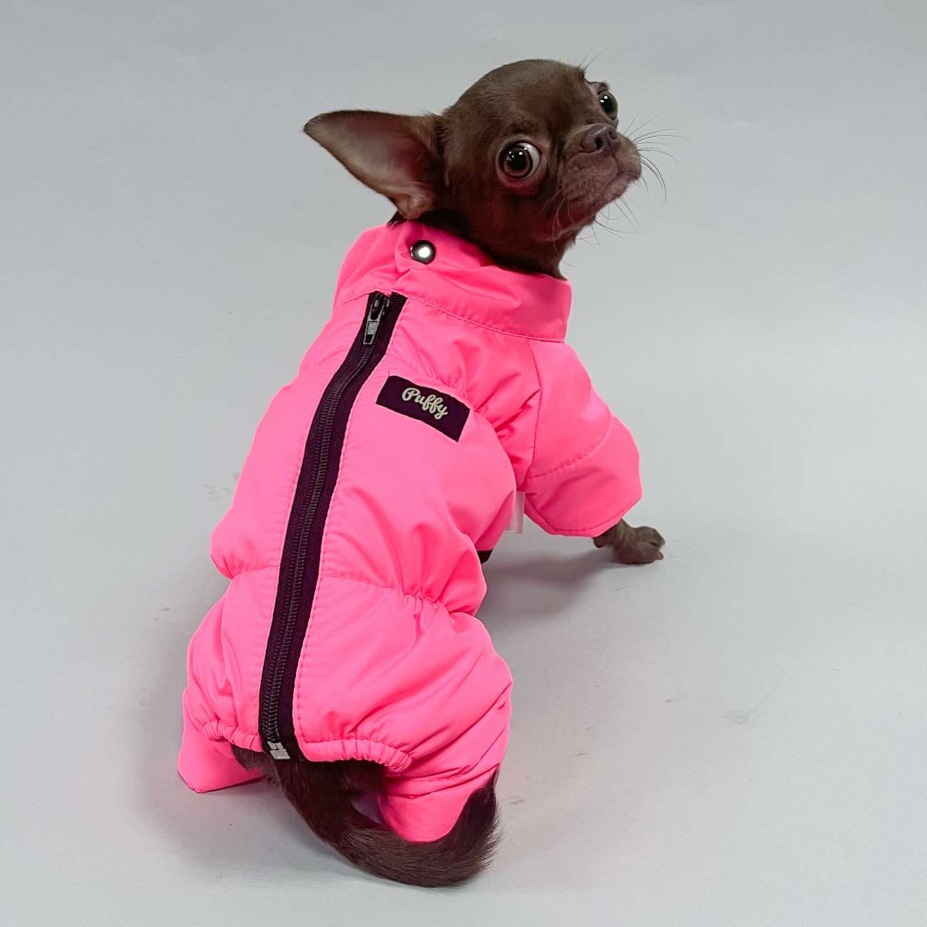 Комбинезон для собак Puffy Тигон