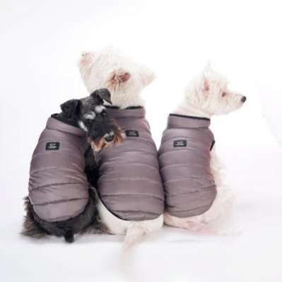 Жилетка для собаки PA Воздух