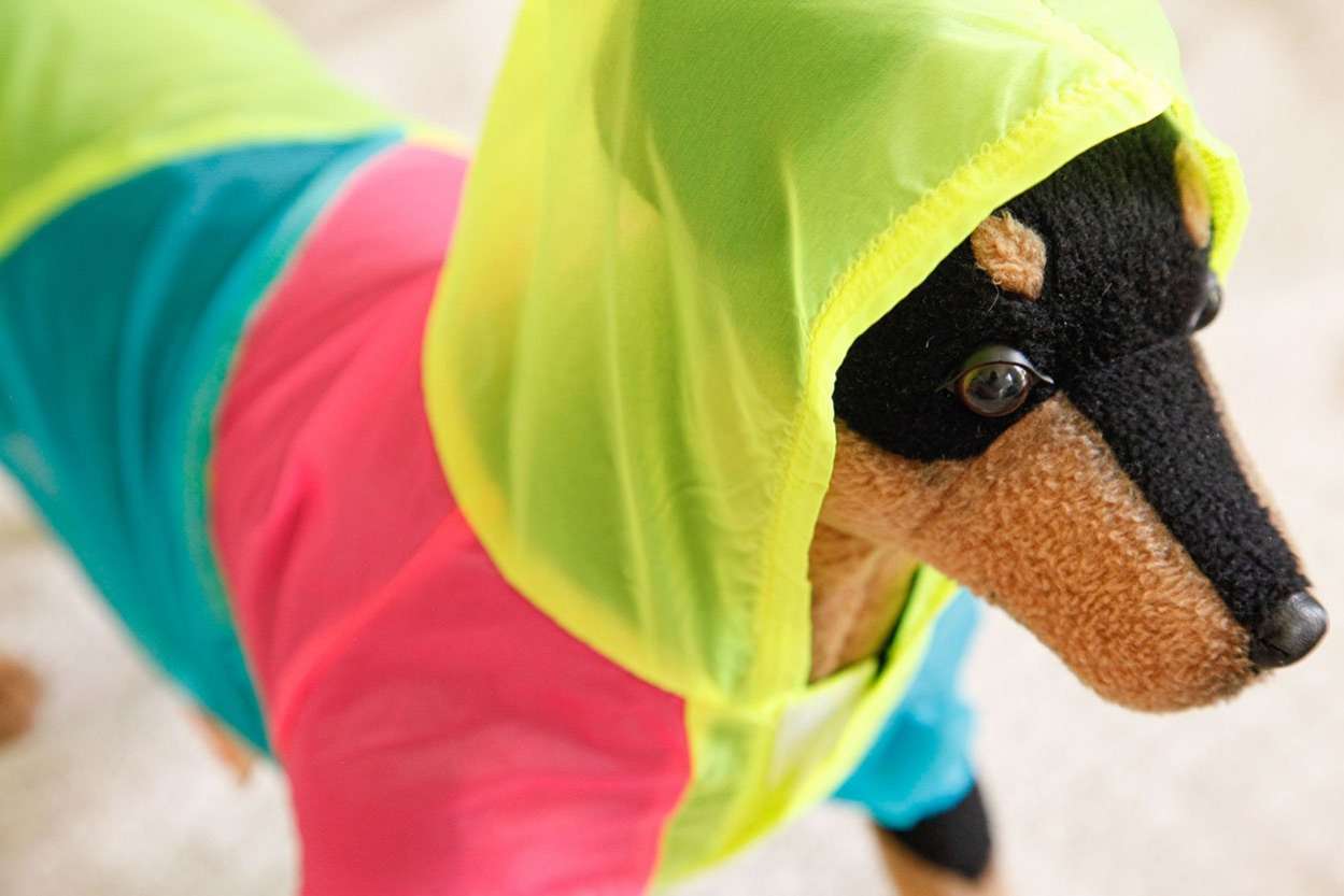 Ветровка для собак Pet Радуга