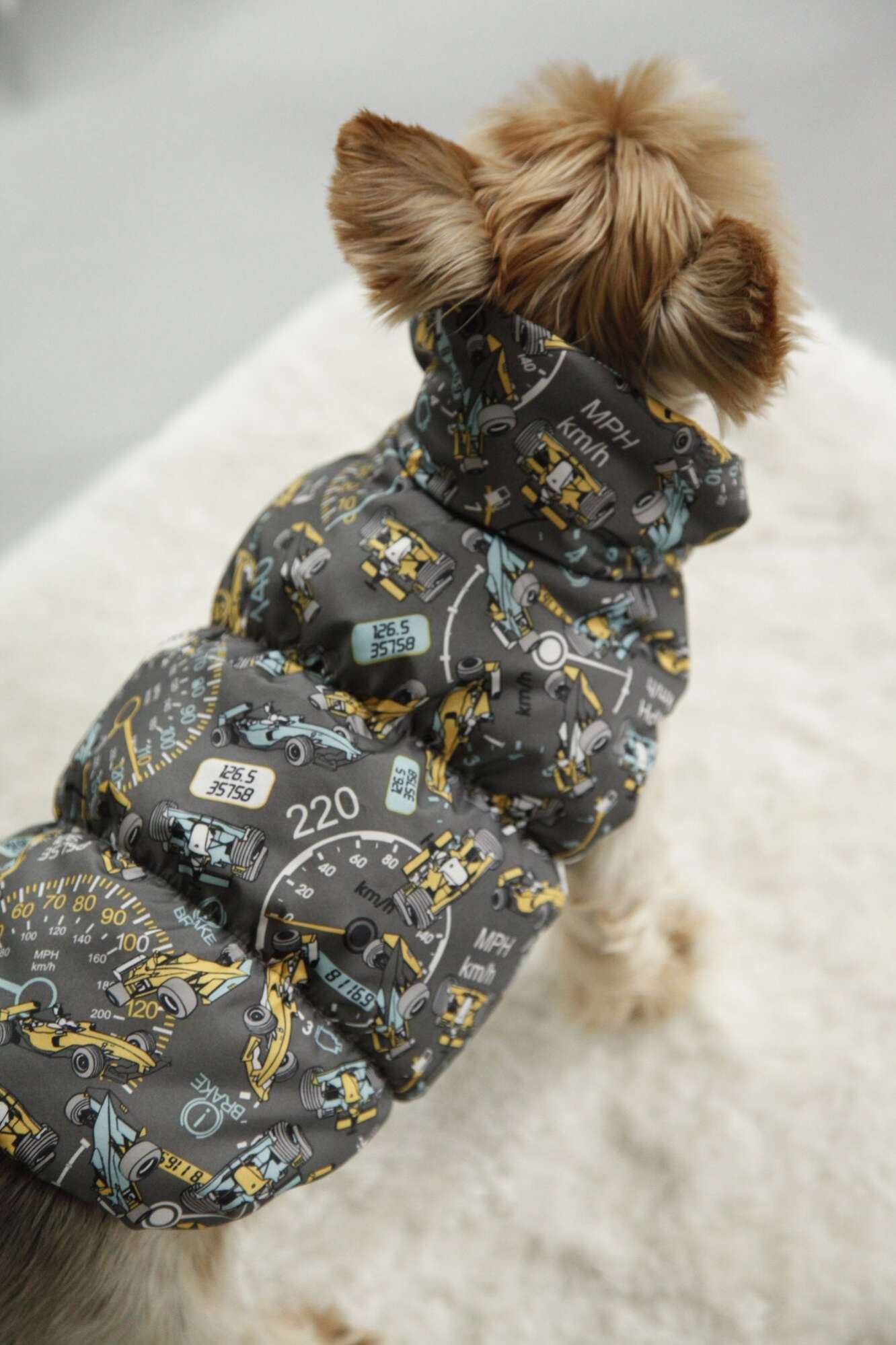 Жилет для собаки Фиби Микс