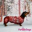 Комбинезон для таксы и корги ForMyDogs Мишки