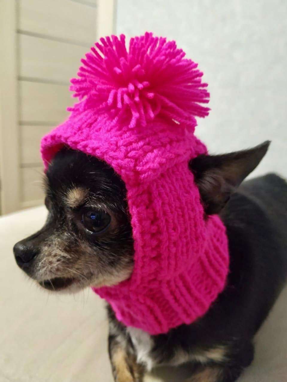 Вязаная шапка для собаки капор с открытыми ушами Puffy Фреш