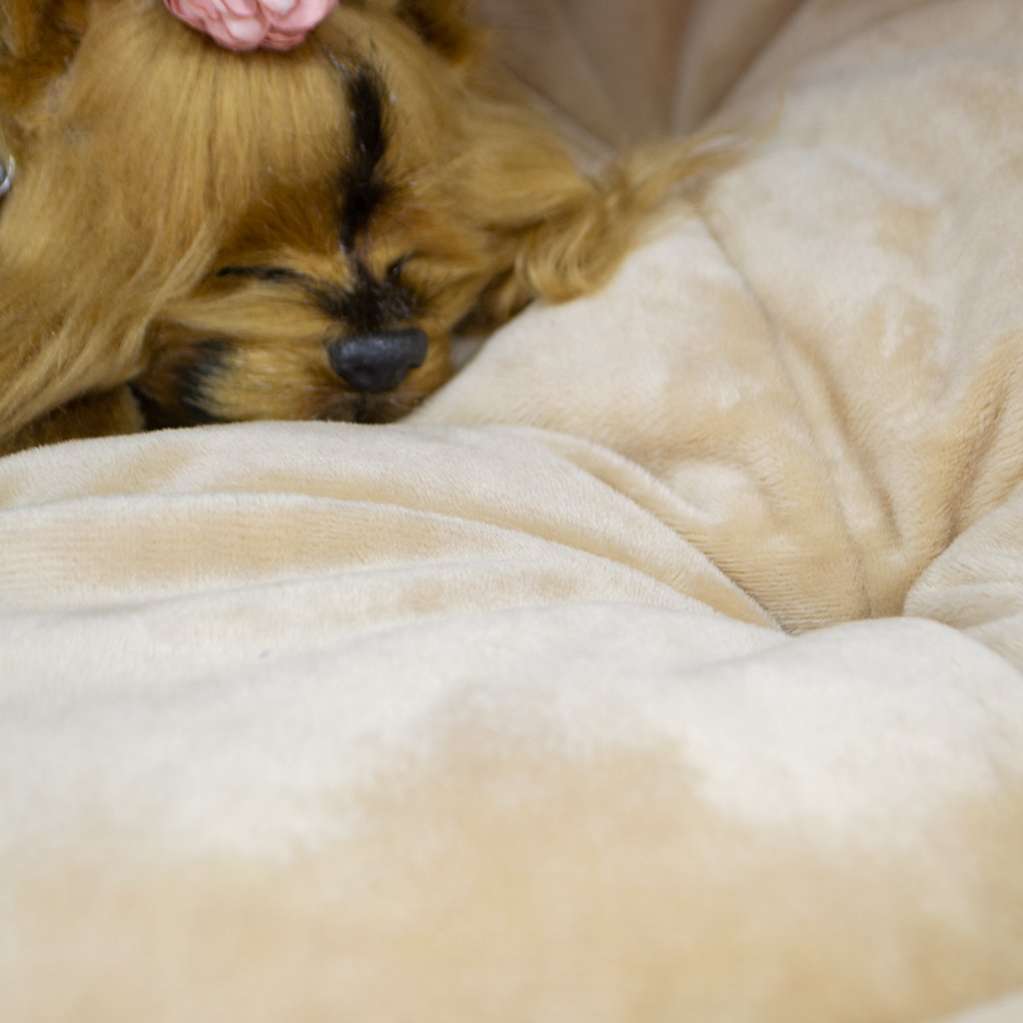 Домик для собаки круглый Puffy Миндаль