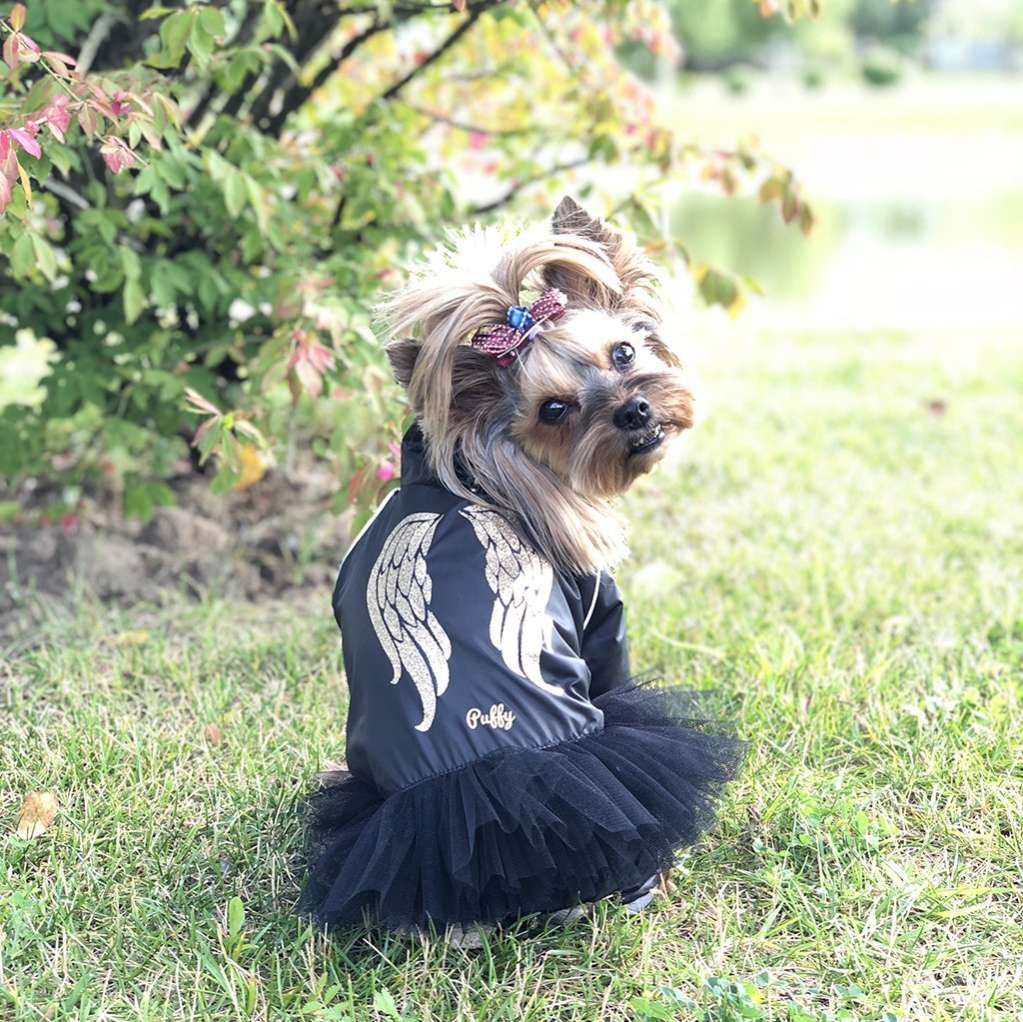 Дождевик для собаки утепленный Puffy Angel с юбкой