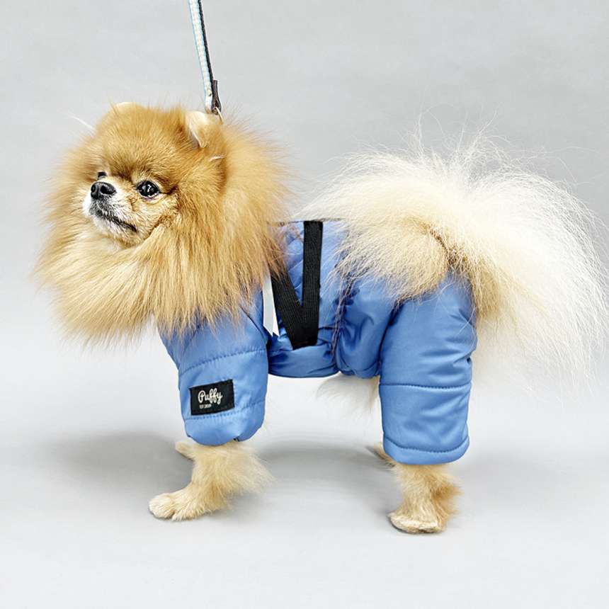 Комбинезон для собак со шлейкой Puffy Фикс акула