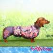 Дождевик для таксы и корги ForMyDogs Мидуэй