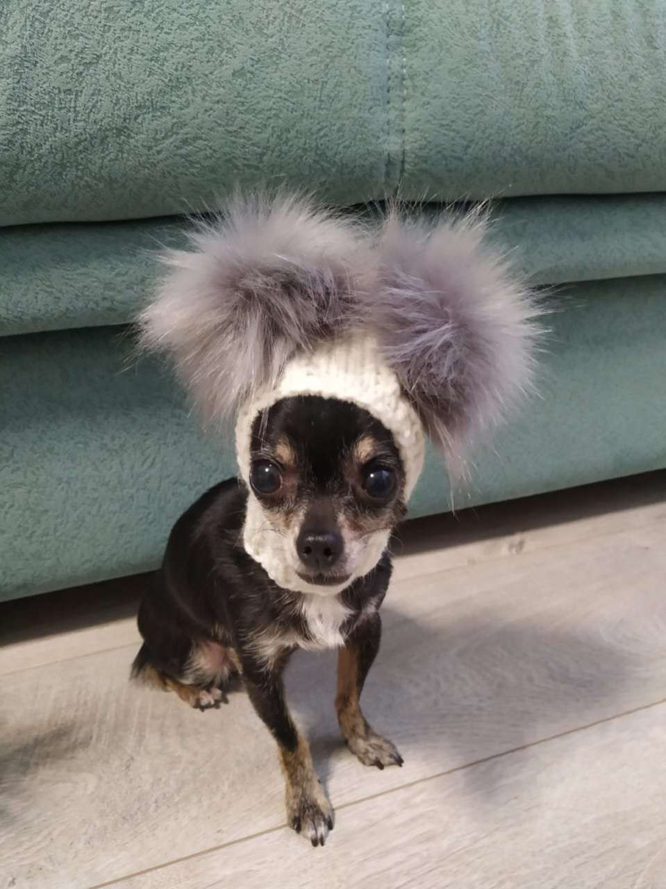 Шапка для собак Капор с закрытыми ушами Puffy Микки