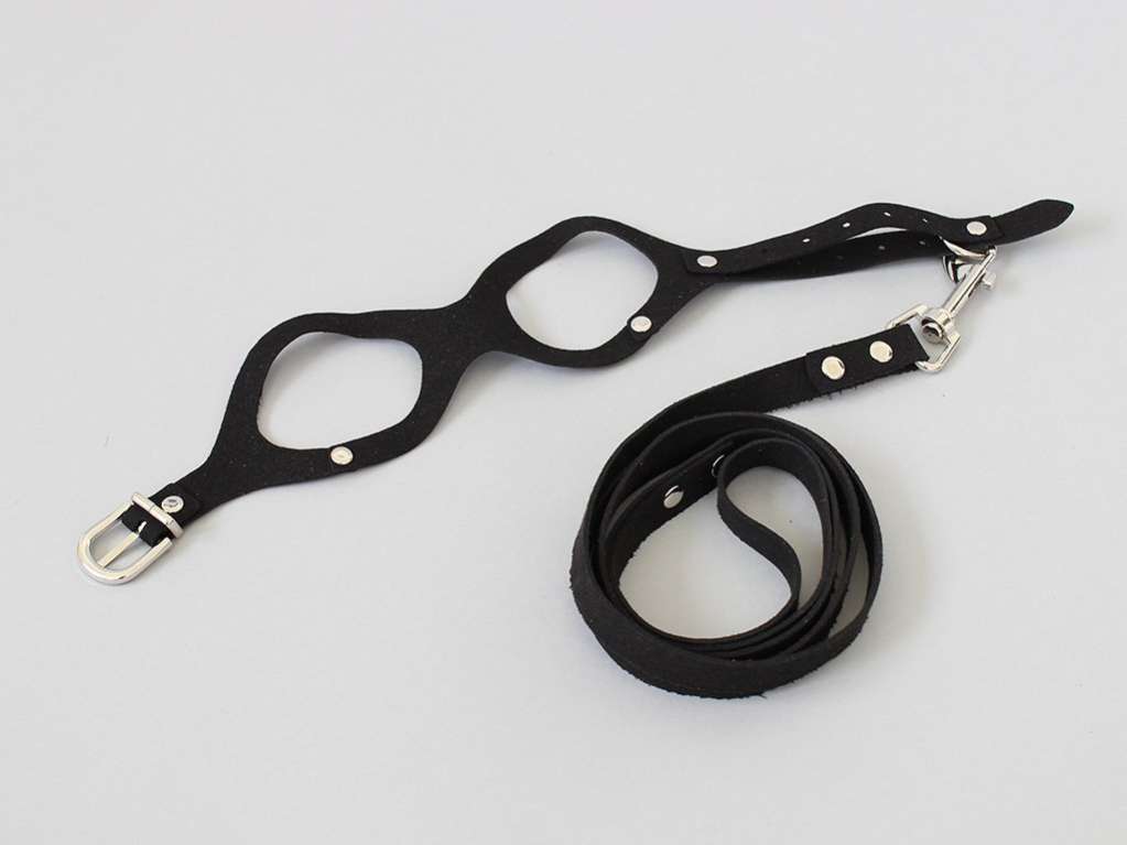 Шлейка с поводком для собак Pet Полли