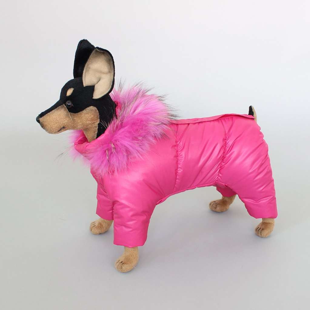 Комбинезон для собак Северное сияние Азалия