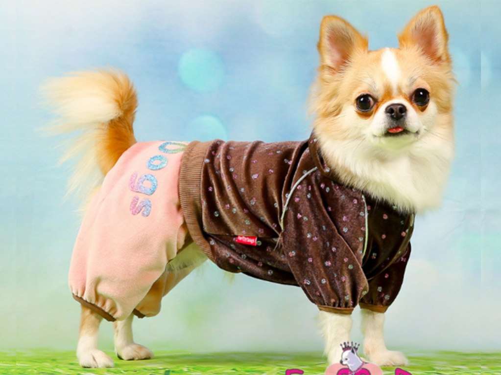 Костюм для собак велюровый ForMyDogs Конфетти