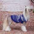 Свитер ForMyDogs Север синий