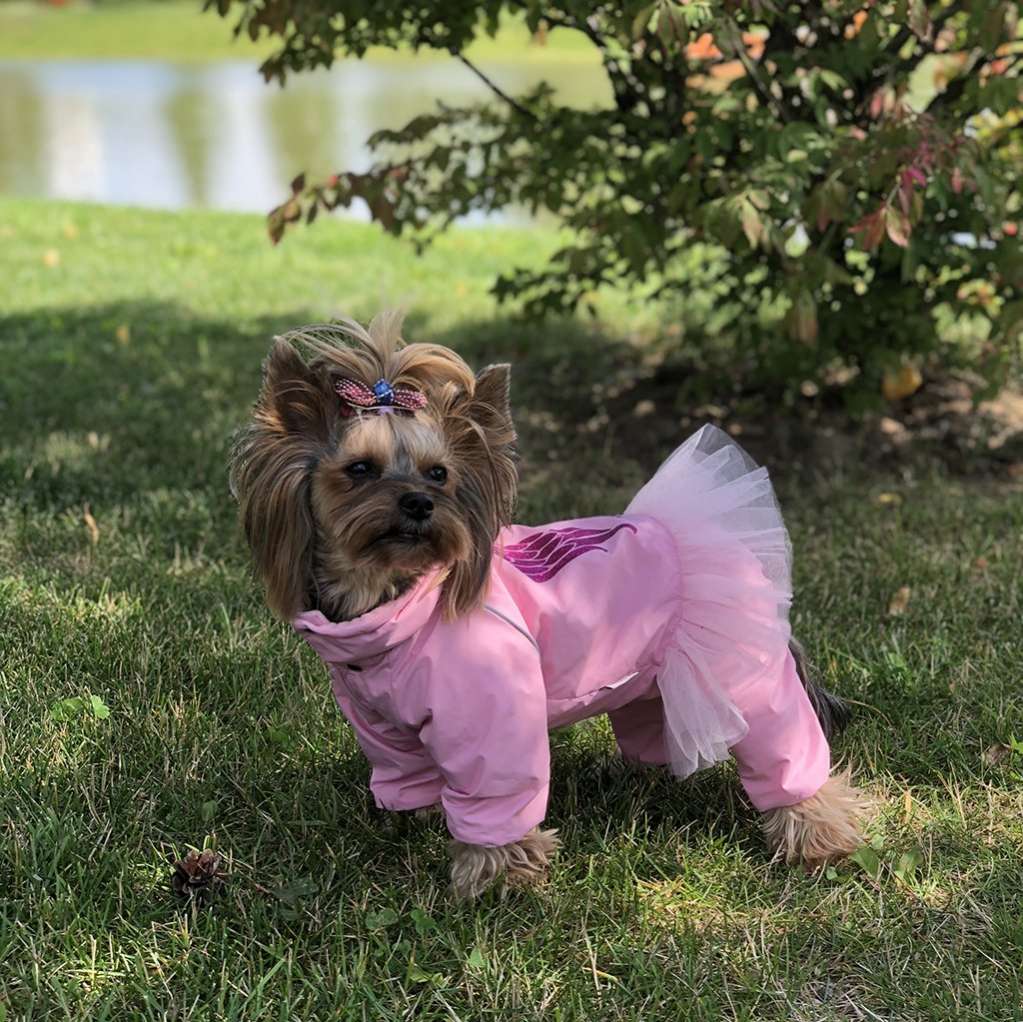 Дождевик для собаки утепленный Puffy Angel с юбкой