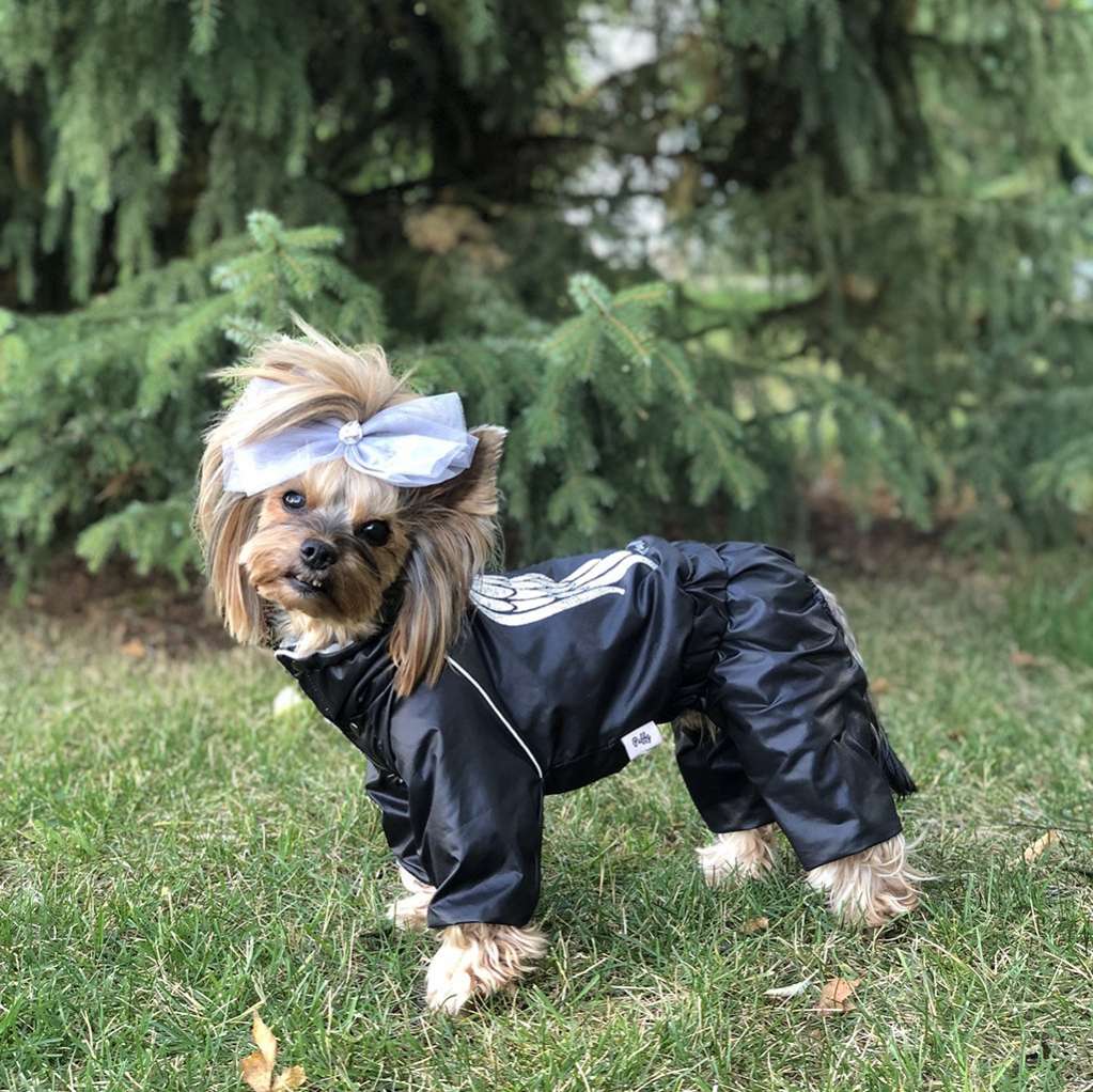 Дождевик для собаки утепленный Puffy Angel