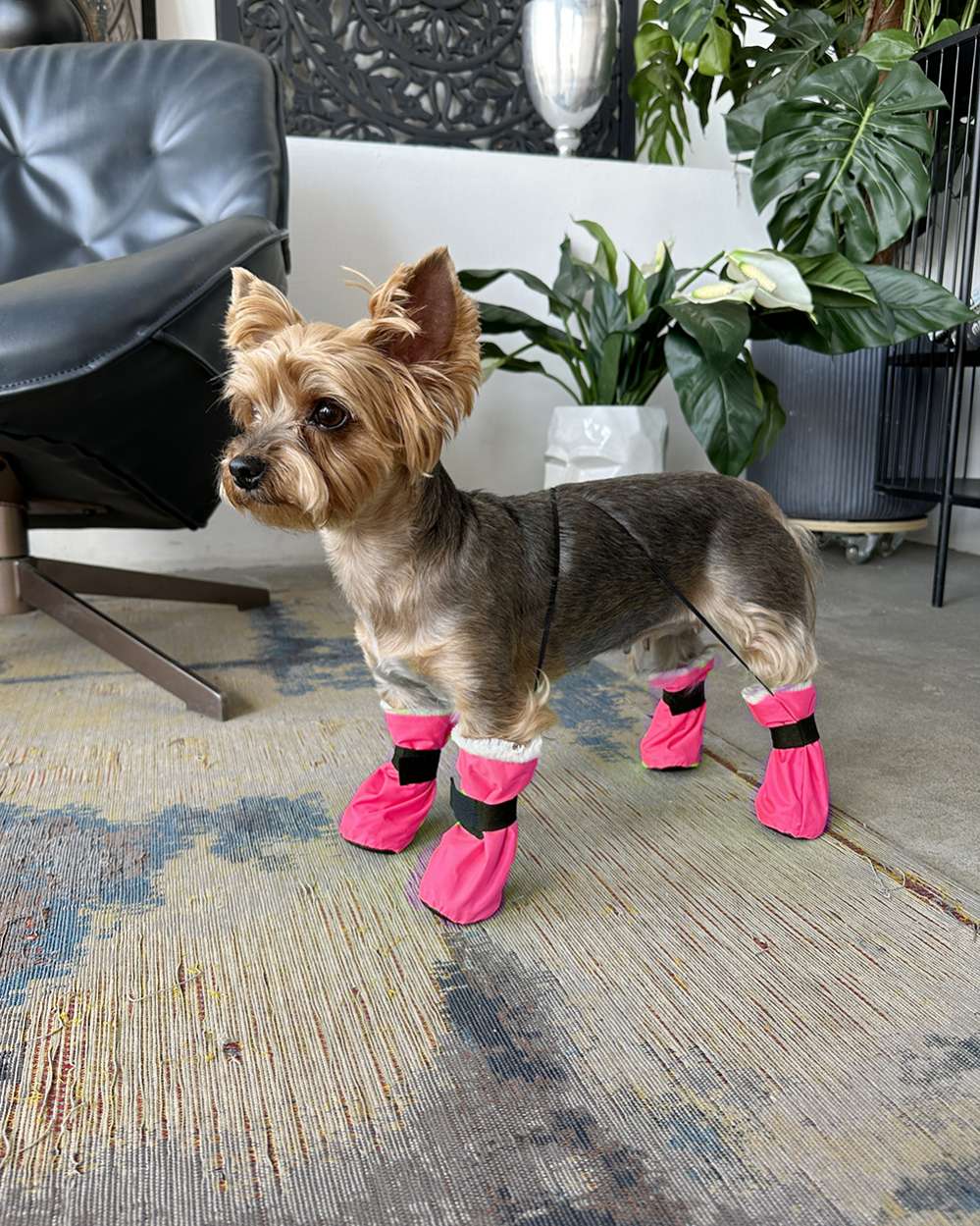 Зимняя обувь для собак Подтяжки Фреш Розовый