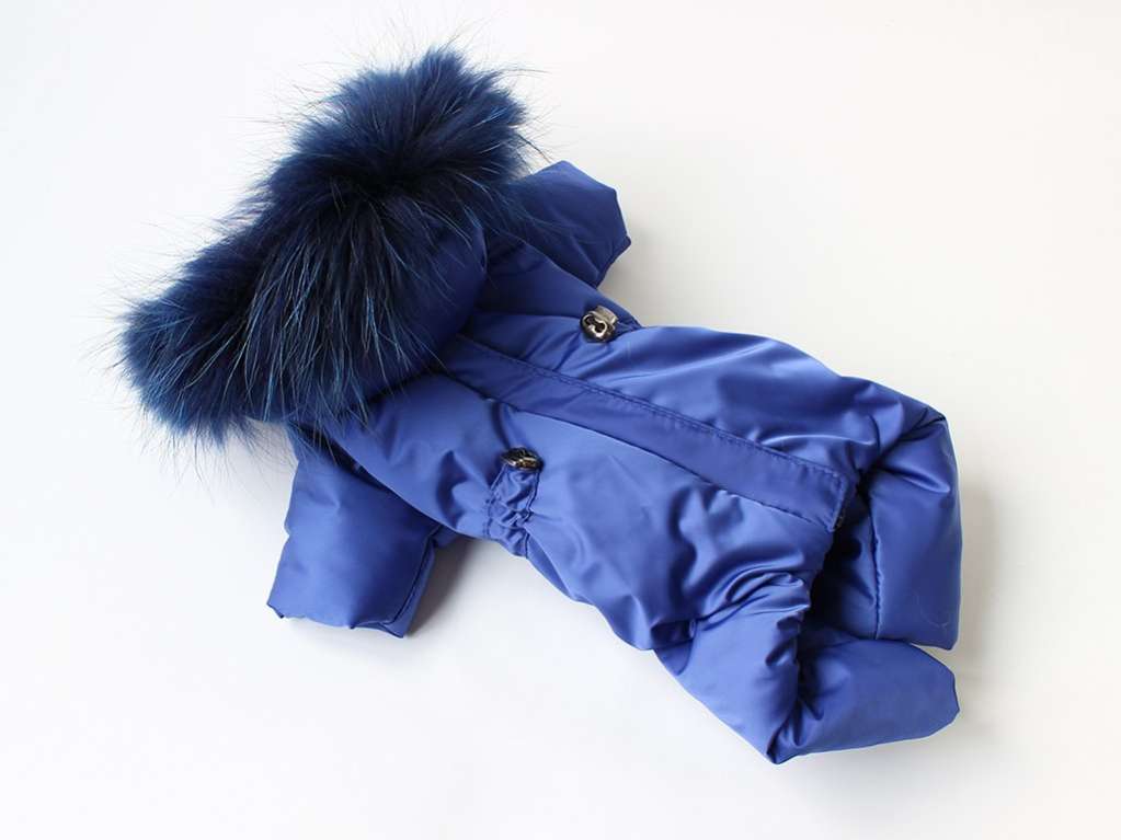 Зимний комбинезон для собак Северное сияние Гавана