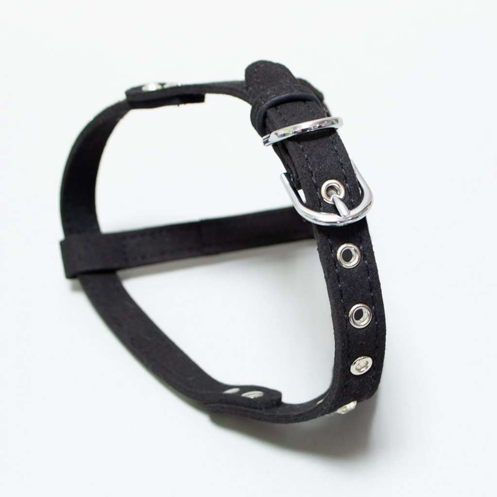 Шлейка для собак Pet Мерцание