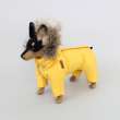Зимний комбинезон для собак Северное сияние Лимон