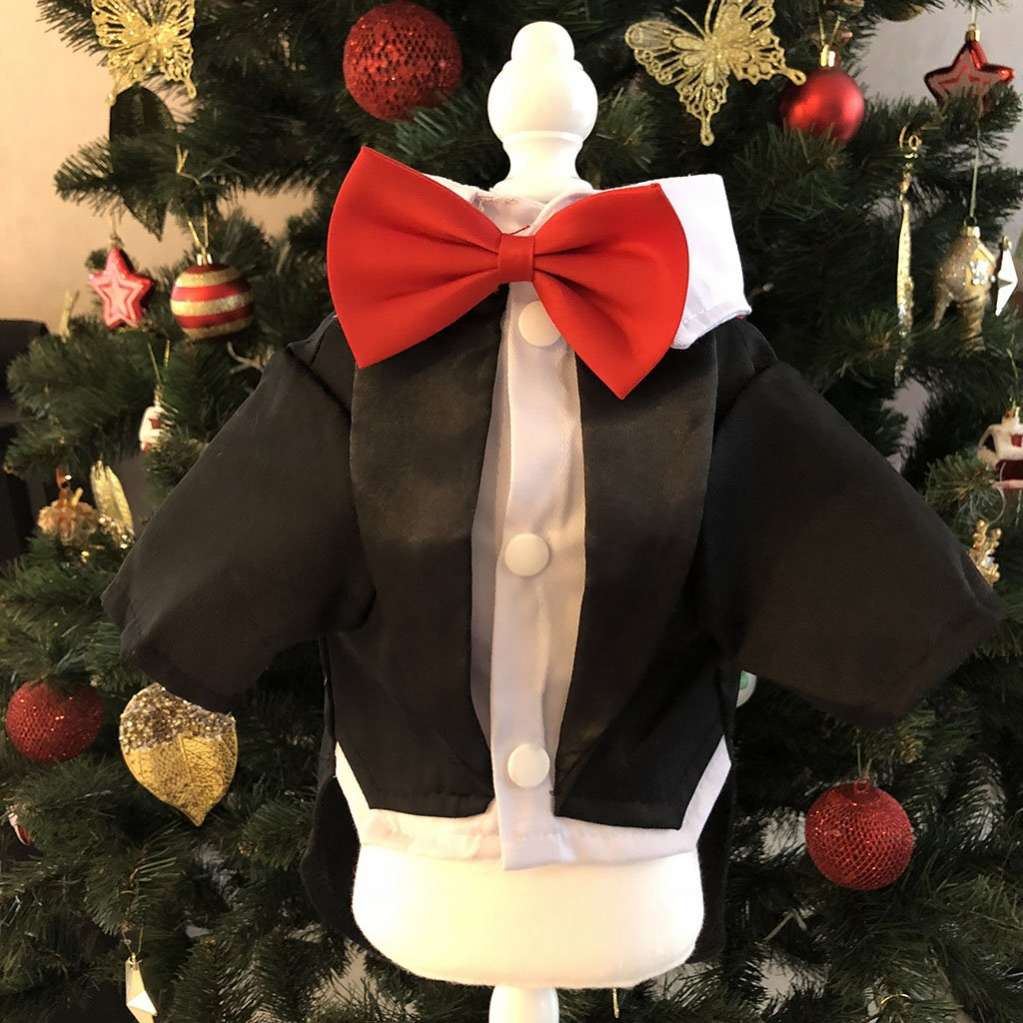 Фрак для собаки с бабочкой Pet Антуан