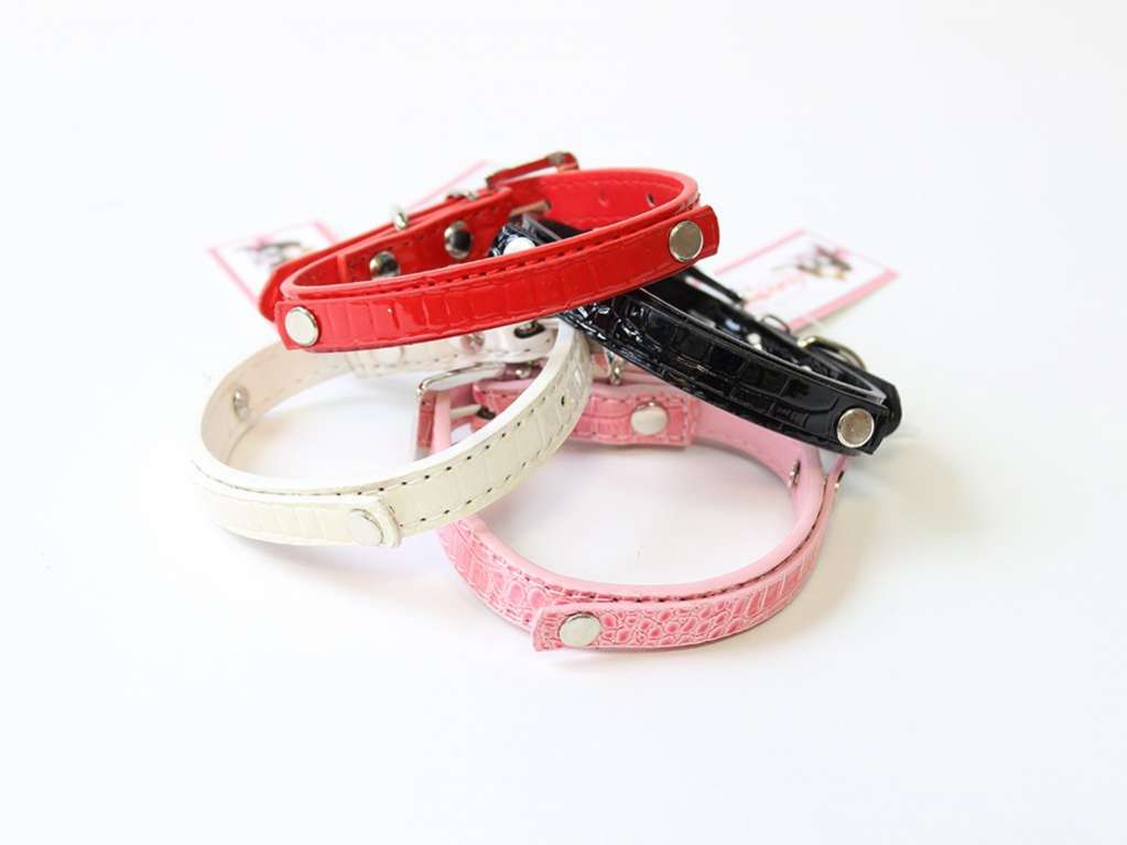 Ошейник для собак с именем двойной